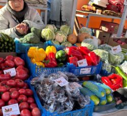 photo_2025-07-04_15-29-13